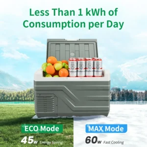 Car Refrigerator 12V Compressor Fridge Freezer